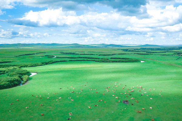 锡林浩特好玩的景点 锡林浩特景点推荐
