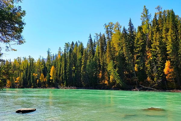 阿勒泰自驾游攻略 阿勒泰自驾游路线