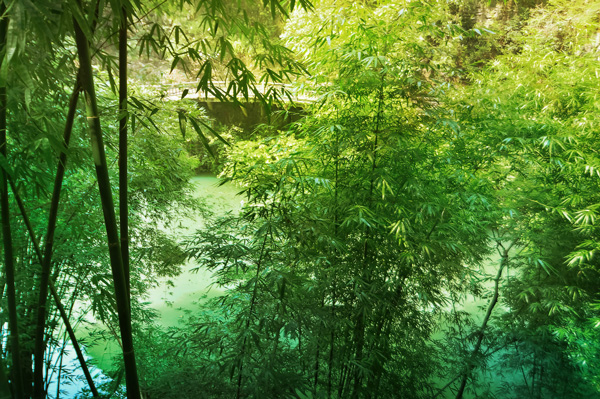 三峡人家值得去吗 三峡人家门票多少钱