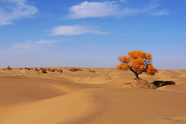 九月初国内旅游景点推荐 九月初国内旅游景点推荐