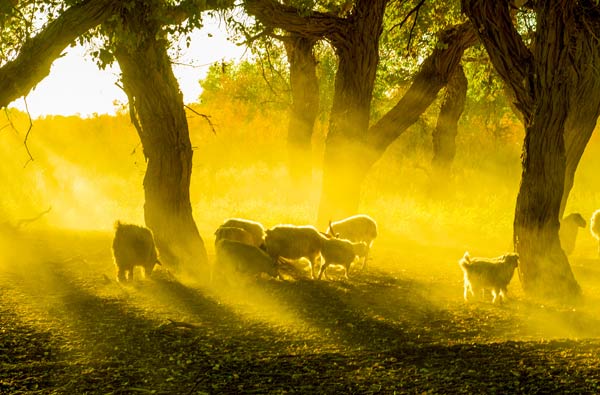 十一去哪旅游最好 十一假期旅游好去处