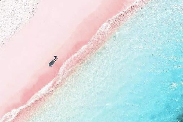 科莫多旅游攻略 科莫多自由行攻略