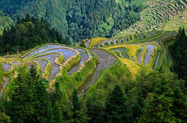 贵州加榜梯田在哪里 加榜梯田游玩最佳时间