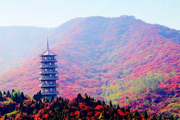 红叶谷什么时候去合适 济南红叶谷门票是多少