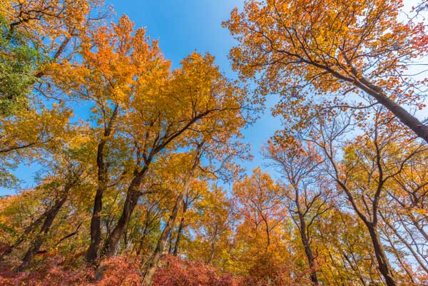 十一月适合去哪里旅游 十一月去哪旅游合适【图】