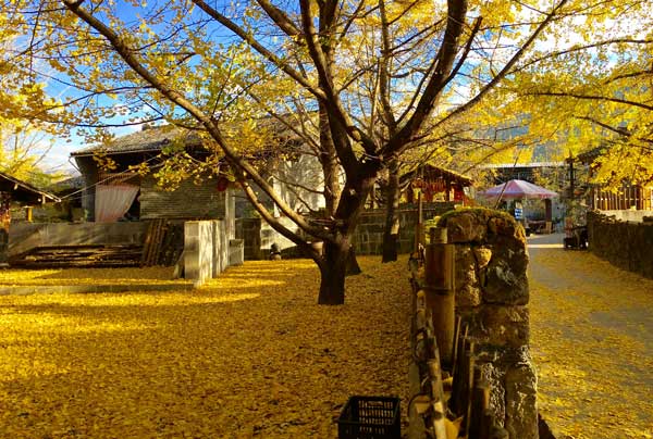 十一月适合去哪里旅游 十一月去哪旅游合适【图】