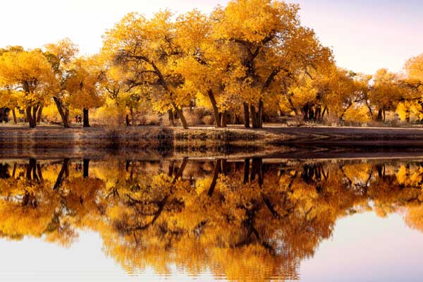 金年会app下载官网10月最佳旅游目的地 10|邪魅少爷们霸上小公主的唇|月国内