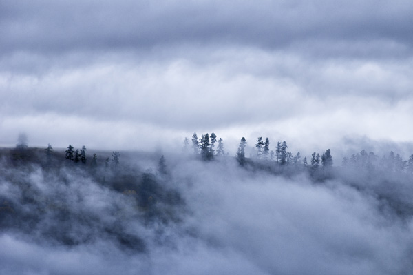 禾木适合什么时候去 禾木冬天可以去吗
