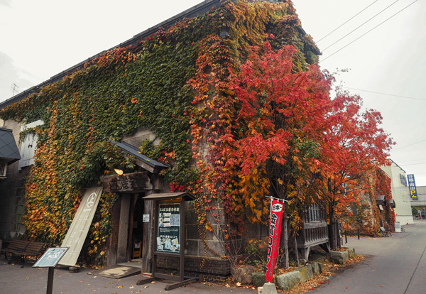 2019年日本赏枫时间 日本2019枫叶预告