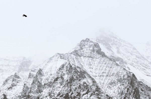 哈巴雪山普通人能爬吗 哈巴雪山景区门票多少钱