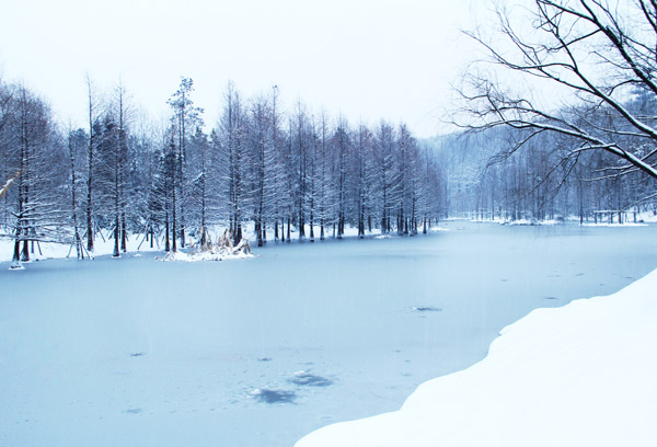南京紫金山要门票吗 紫金山怎么坐地铁
