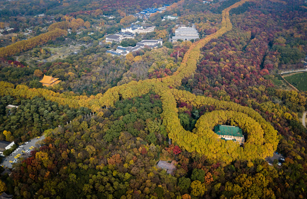 南京紫金山要门票吗紫金山怎么坐地铁