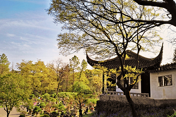 虎丘山在哪 虎丘山门票多少钱