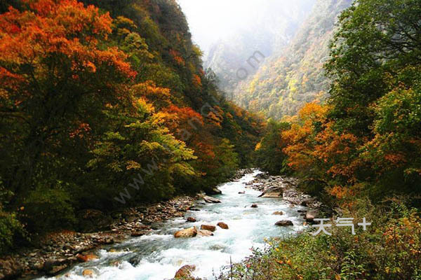 东拉山大峡谷在哪里 东拉山大峡谷在什么地方