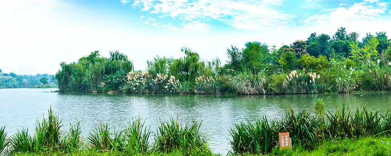 广州南沙湿地公园在哪 广州南沙湿地公园地址
