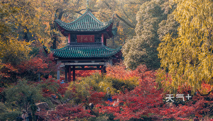 岳麓山风景名胜区门票,地址 岳麓山风景名胜区门票多少钱 天气加