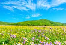 若尔盖什么时候去最佳 若尔盖最佳旅游时间