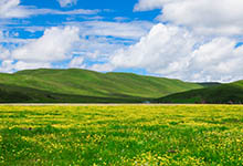 若尔盖消费水平怎么样 若尔盖消费水平