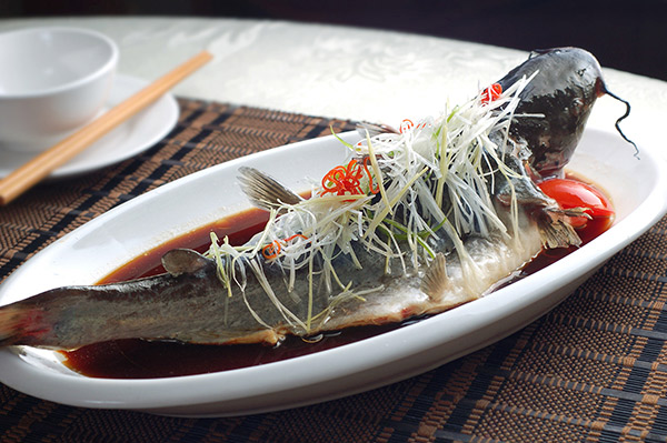清蒸什么鱼最好吃 清蒸鲈鱼的简单做法