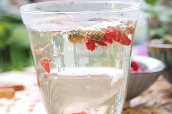 枸杞菊花决明子茶功效