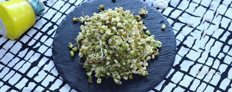 怎么发绿豆芽自己发绿豆芽
