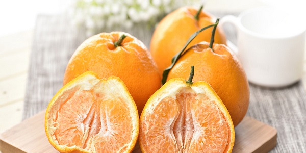 桔子皮的妙用 桔子皮的其他用途