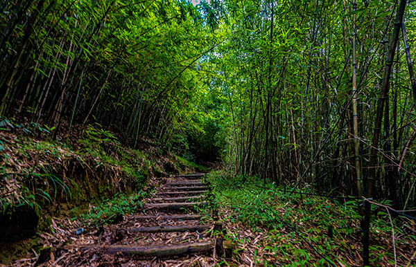重庆爬山的地方有哪些 重庆市内爬山的好地方