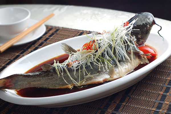 鲈鱼是海鱼还是淡水鱼 吃鲈鱼的禁忌