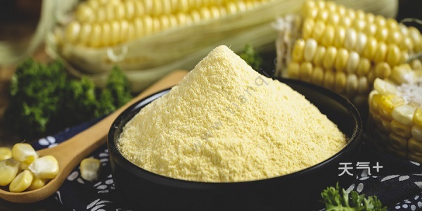 玉米粉是玉米淀粉吗 玉米粉是什么粉