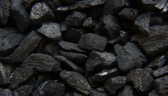 煤是由什么植物变成的
