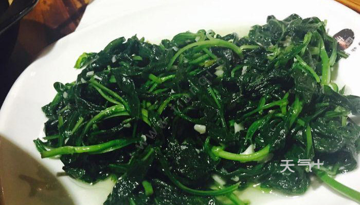 苦菜怎么做好吃 苦菜的吃法