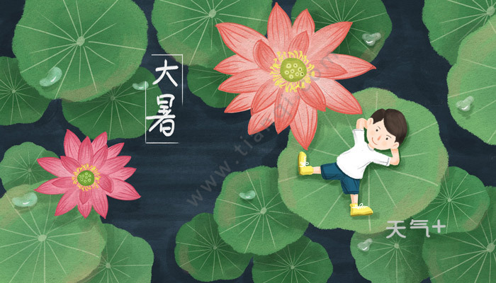 大暑节气的古诗 关于大暑节气的古诗有哪些