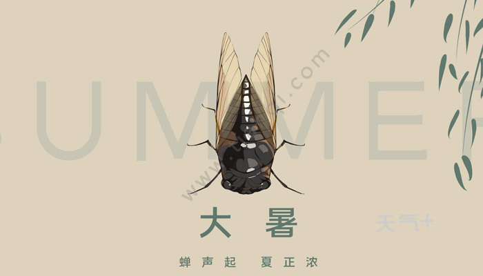 大暑节气的古诗 关于大暑节气的古诗有哪些