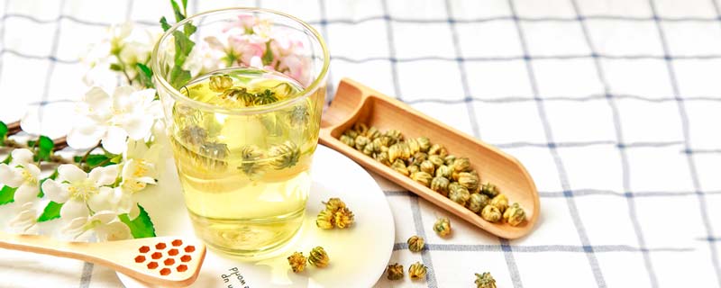 菊花茶属于绿茶吗
