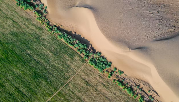走进乌兰布和 见证世界品质——20余家知名企业单位探访蒙牛沙漠有机奶源地