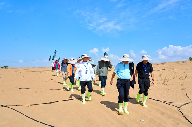 走进乌兰布和 见证世界品质——20余家知名企业单位探访蒙牛沙漠有机奶源地
