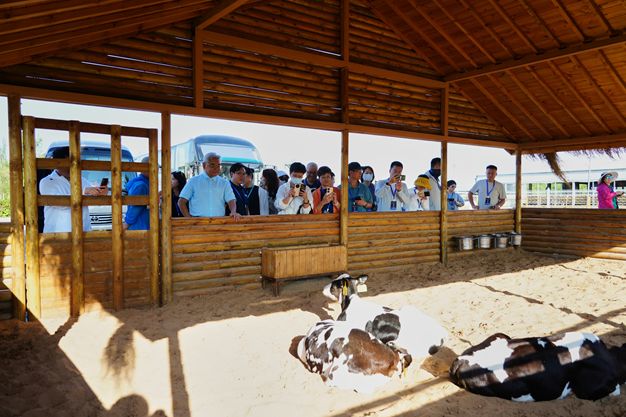 走进乌兰布和 见证世界品质——20余家知名企业单位探访蒙牛沙漠有机奶源地