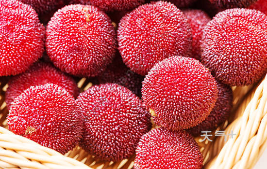 杨梅的功效和作用 www.tianqi.com