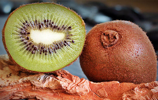 邵阳有哪些特色水果 湖南邵阳特产