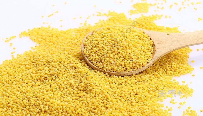 大黄米和小黄米有什么区别大黄米和小黄米的区别是什么
