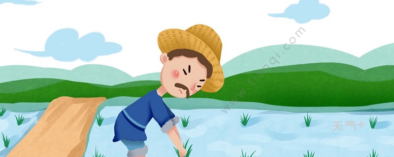 揠苗助长这个成语的意思是什么 揠苗助长这个成语是什么意思