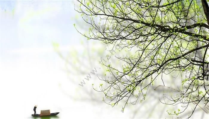钱塘湖春行抒发了诗人什么 钱塘湖春行什么意思