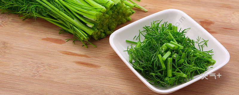 茴香菜的功效与作用茴香菜图片