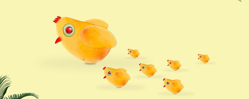 梦见孵小鸡代表什么 梦见孵小鸡意味着什么 