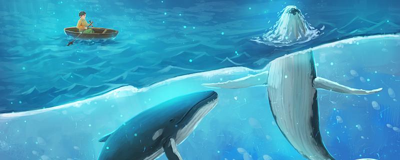 梦到鲸鱼喷水是什么意思 梦到鲸鱼喷水意味着什么