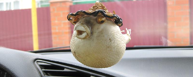 梦见吃鱼头什么意思 梦见吃鱼头预示着什么