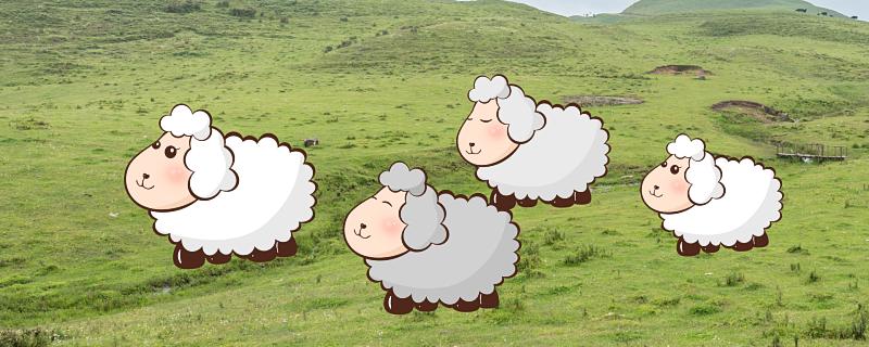 梦见绵羊是什么意思 梦见绵羊是什么预兆