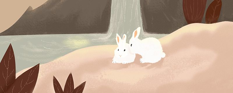 梦见白兔代表什么 梦见白兔预示着什么