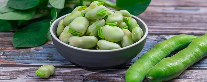 梦见绿油油的青蚕豆什么意思 梦境中绿油油的青蚕豆代表什么
