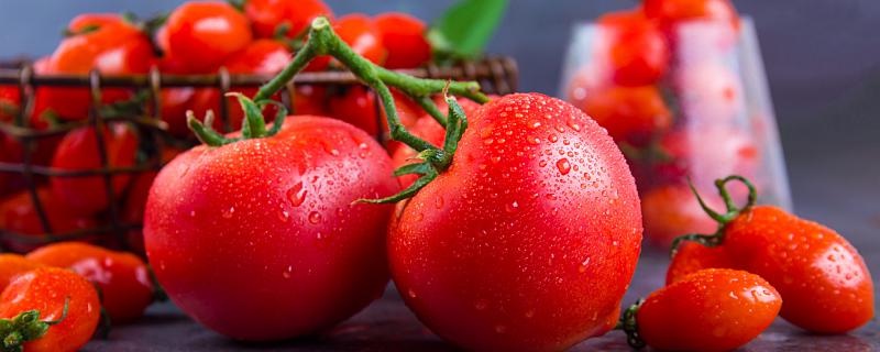 ​梦到吃西红柿是什么意思 梦到吃西红柿是什么预兆